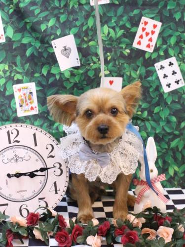 20250405ショーンくん